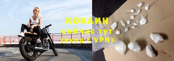 ПСИЛОЦИБИНОВЫЕ ГРИБЫ Абаза